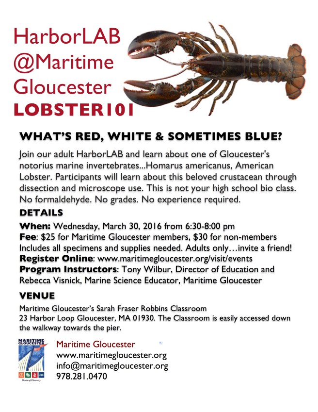 Lobster HarborLAB poster