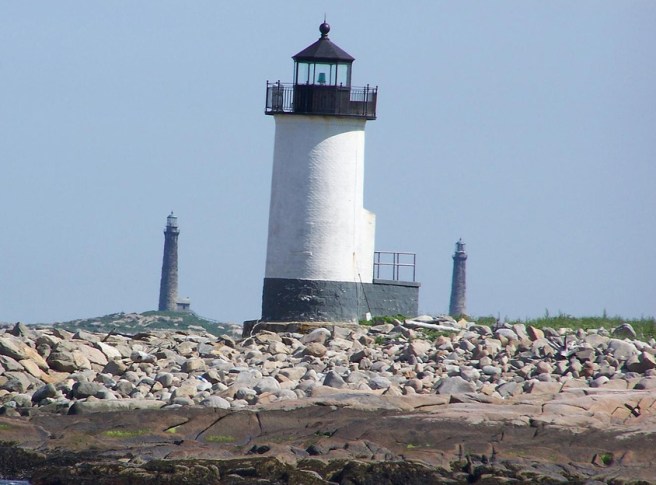 33. dual view_edited cropped-1