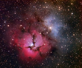 trifid