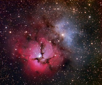 trifid