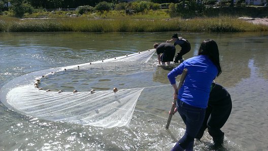 2016 summer programs image