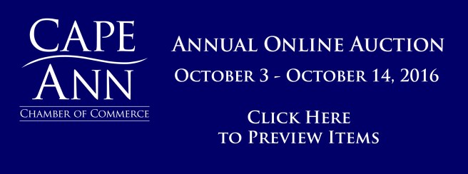 2016-onlineauction-dynamicbox