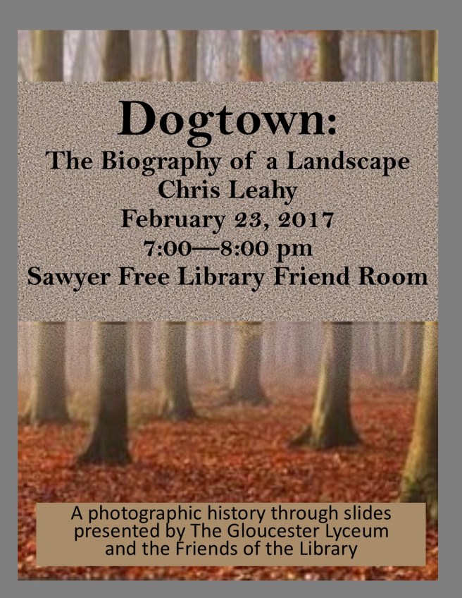 dogtown-program-2-23-2017