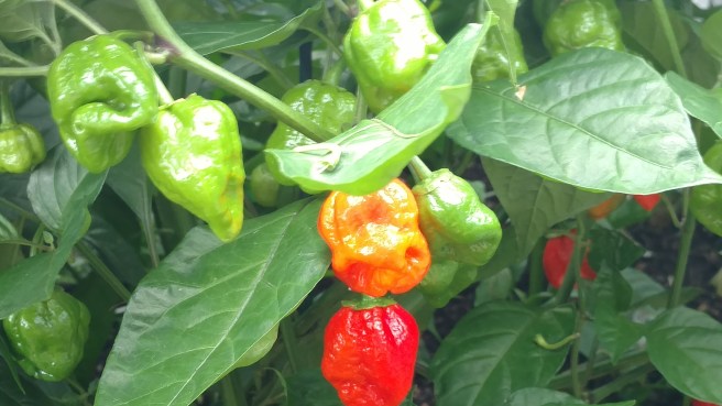 img_20160923_095720085