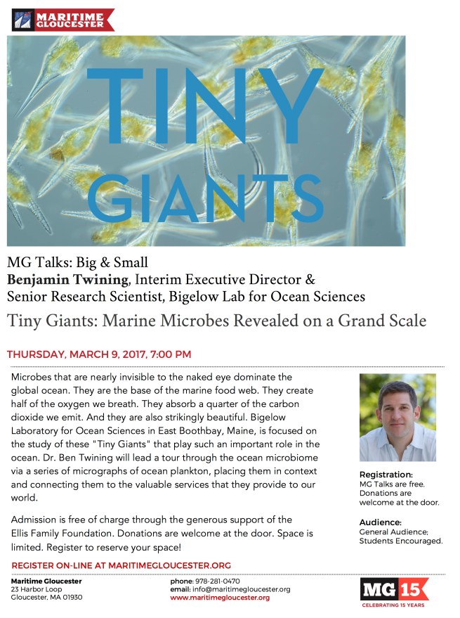 mg-talk-b-twining-flyer