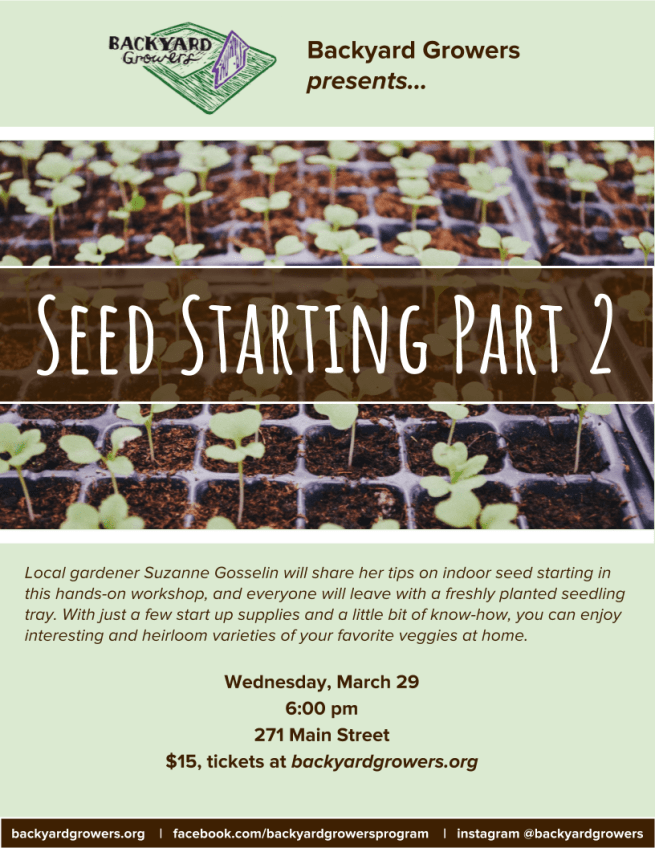 Seed Starting