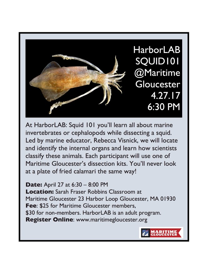 2017 HarborLAB Squid flyer