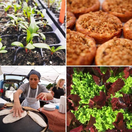 7C54C7C2-F8D8-4E5F-8FBD-F0D77809D208