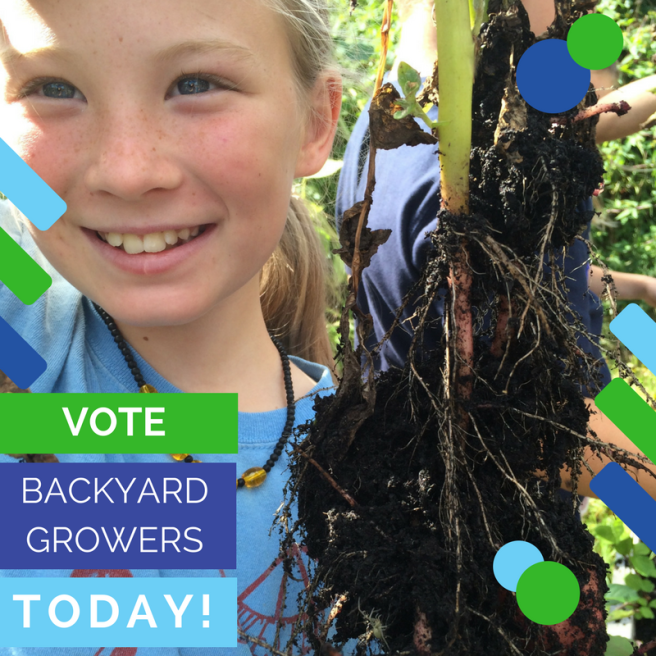 Copy of Vote Backyard Growers TODAY! (1)