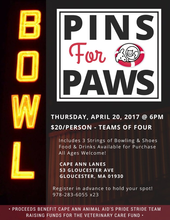 PinsforPaws 3.2017