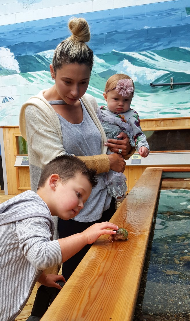 family in Sea Pocket Aquarium
