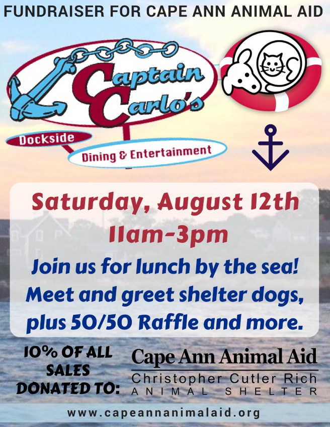 captain carlos fundraiser