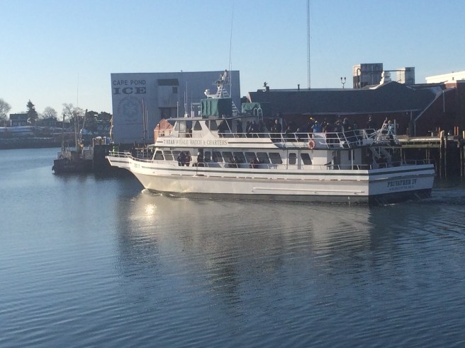 Winter Birding Boat Trip