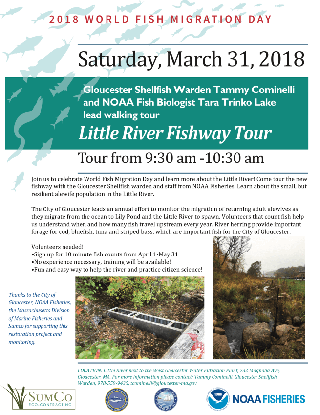 Little River_Flyer_2018.png