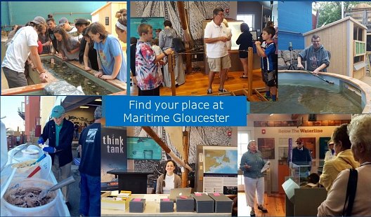 find-your-place-w528