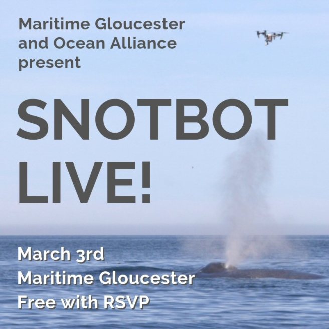 SNOTBOT LIVE!