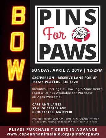 PinsforPaws_FINAL