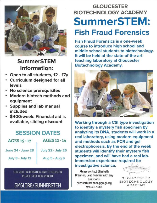SummerSTEM2019Flier