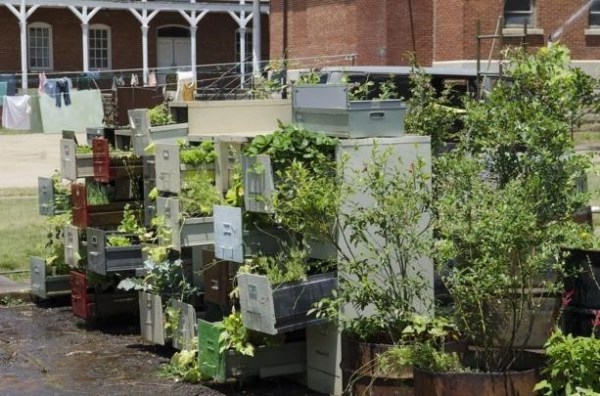filing cabinet garden