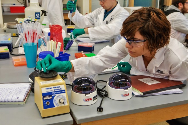 sm extracting DNA -1638